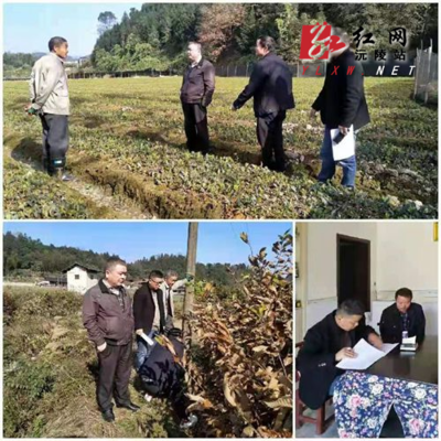 縣林業(yè)局開展雙隨機(jī)檢查與誠信宣傳，打造陽光執(zhí)法生態(tài)環(huán)境