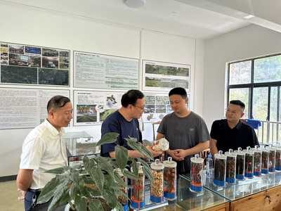 臺(tái)江縣林業(yè)產(chǎn)業(yè)與國有林場改革調(diào)研 宗煒副局長強(qiáng)調(diào)優(yōu)化林業(yè)產(chǎn)品銷售渠道