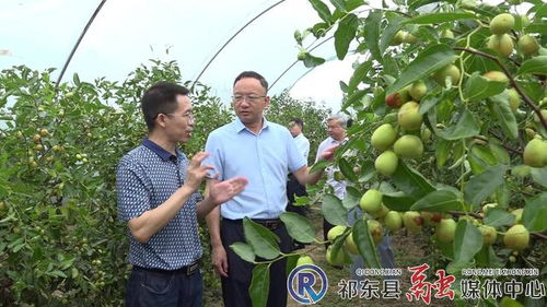 市林業(yè)局深入我縣開(kāi)展林業(yè)工作調(diào)研 聚焦產(chǎn)業(yè)發(fā)展，助力林產(chǎn)品銷(xiāo)售升級(jí)